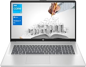 17 Business Laptop, 17.3” HD+ Display, 11th Gen Intel Core i3-1125G4 Processor, 8GB RAM, 256GB SSD, Wi-Fi, HDMI, Webcam, Windows 11 Pro, Silver